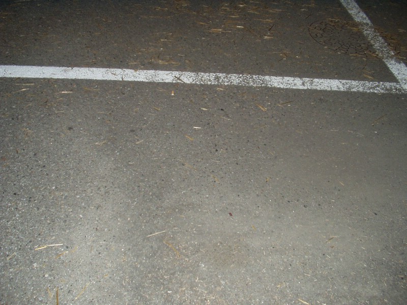 Auto 044.jpg